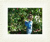 DSC06972 * 2048 x 1536 * (1.5MB)
