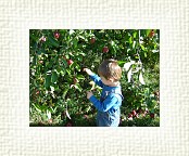DSC06973 * 2048 x 1536 * (1.49MB)