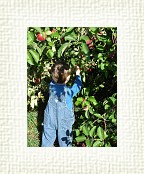 DSC06974 * 1536 x 2048 * (1.45MB)