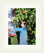 DSC06975 * 1536 x 2048 * (1.53MB)