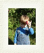 DSC06979 * 1536 x 2048 * (1.41MB)