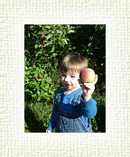DSC06980 * 1536 x 2048 * (1.49MB)