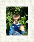 DSC06981 * 1536 x 2048 * (1.47MB)