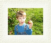 DSC06983 * 2048 x 1536 * (1.47MB)