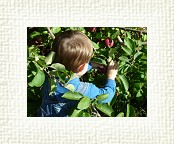 DSC06986 * 2048 x 1536 * (1.33MB)
