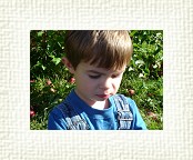 DSC06988 * 2048 x 1536 * (1.51MB)