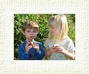 DSC06989 * 2048 x 1536 * (1.4MB)