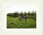 DSC06996 * 2048 x 1536 * (1.53MB)