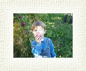 DSC07000 * 2048 x 1536 * (1.41MB)