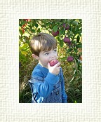 DSC07001 * 1536 x 2048 * (1.52MB)