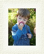 DSC07003 * 1536 x 2048 * (1.5MB)