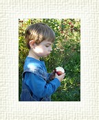 DSC07004 * 1536 x 2048 * (1.53MB)