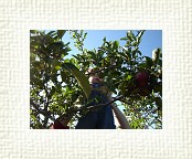 DSC07010 * 2048 x 1536 * (1.4MB)
