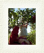 DSC07014 * 1536 x 2048 * (1.41MB)