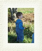DSC07018 * 1536 x 2048 * (1.48MB)