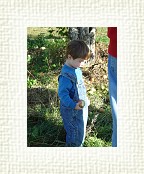 DSC07019 * 1536 x 2048 * (1.42MB)