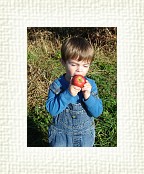 DSC07020 * 1536 x 2048 * (1.44MB)