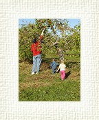 DSC07021 * 1536 x 2048 * (1.53MB)