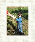 DSC07022 * 1536 x 2048 * (1.55MB)