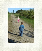DSC07024 * 1536 x 2048 * (1.38MB)
