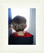 DSC07036 * 1536 x 2048 * (1.26MB)