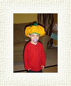 DSC07045 * 1536 x 2048 * (1.3MB)