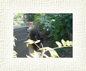 DSC07053 * 2048 x 1536 * (1.3MB)