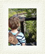 DSC07054 * 1536 x 2048 * (1.51MB)