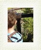 DSC07055 * 1536 x 2048 * (1.47MB)