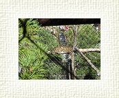 DSC07058 * 2048 x 1536 * (1.47MB)