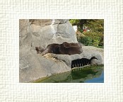 DSC07061 * 2048 x 1536 * (1.44MB)