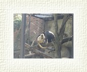 DSC07088 * 2048 x 1536 * (1.34MB)