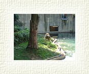 DSC07099 * 2048 x 1536 * (1.47MB)