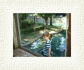 DSC07100 * 2048 x 1536 * (1.49MB)