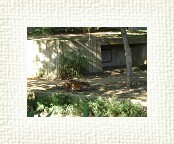 DSC07105 * 2048 x 1536 * (1.52MB)