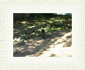 DSC07106 * 2048 x 1536 * (1.43MB)