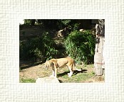 DSC07107 * 2048 x 1536 * (1.38MB)