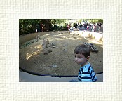 DSC07109 * 2048 x 1536 * (1.39MB)