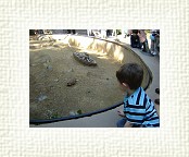 DSC07111 * 2048 x 1536 * (1.49MB)