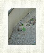 DSC07113 * 1536 x 2048 * (1.51MB)
