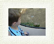 DSC07118 * 2048 x 1536 * (1.42MB)