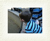 DSC07122 * 2048 x 1536 * (1.29MB)