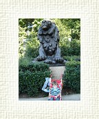 DSC07128 * 1536 x 2048 * (1.46MB)