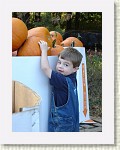 DSC07179 * 1536 x 2048 * (1.46MB)