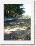 DSC07182 * 1536 x 2048 * (1.45MB)