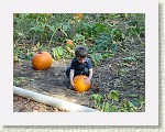 DSC07185 * 2048 x 1536 * (1.53MB)