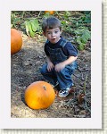 DSC07186 * 1536 x 2048 * (1.47MB)