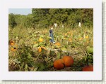 DSC07190 * 2048 x 1536 * (1.45MB)