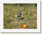 DSC07191 * 2048 x 1536 * (1.49MB)