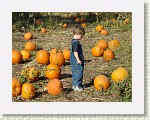 DSC07192 * 2048 x 1536 * (1.47MB)